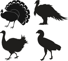 set of turkey vector silhouette.