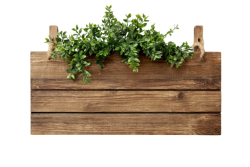 Rustic wooden sign with green foliage and rope hangers on black background board plank