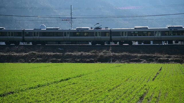 春の安土を走る223系新快速 （東海道本線 安土 - 能登川, 2025年3月）