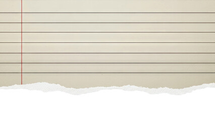 Naklejka premium Lined Paper with Torn Edge Background