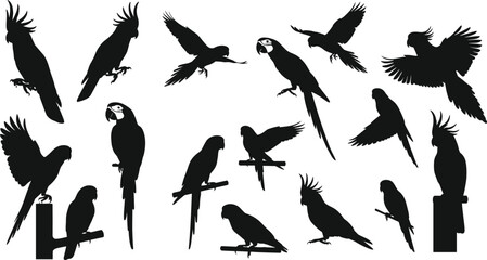 Fototapeta premium Black parrot and cockatoo bird silhouettes set flying and perched tropical vector isolated on white background