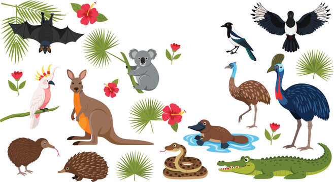 Australia animals collection set featuring kangaroo koala emu crocodile birds wildlife flat vector illustration isolated