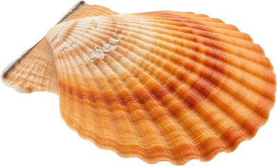 Obraz premium Upscaled with Gigapixel v8.4.4. 1898x1138 => 3796x2276 (2x) Model: Standard V2, denoise: 1, sharpen: 0.16360225608866885, decompression: 0.1145725429774298