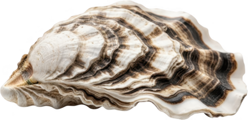 Upscaled with Gigapixel v8.4.4. 2348x1140 => 4696x2280 (2x) Model: Standard V2, denoise: 1, sharpen: 0.01, decompression: 0.01