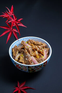 Japanese Gyudon Beef Rice Bowl Food Template