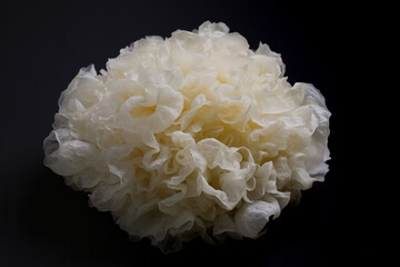 Tremella Snow Fungus On Black Background © Narkyy Image