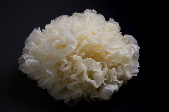 Tremella Snow Fungus On Black Background