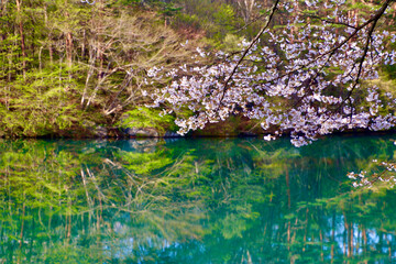 早春の五色沼（福島県・北塩原村）