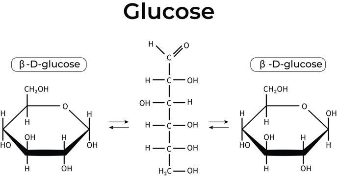 Glucose Chemical Structures and Mutarotation