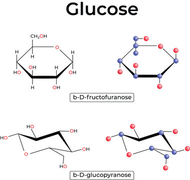 Glucose and Fructose Haworth Projections and Balland Stick Models