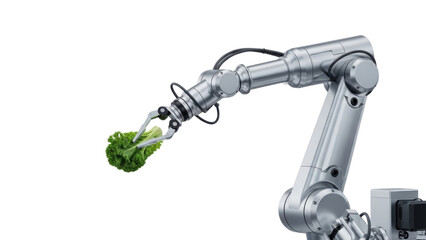 Naklejka premium A robotic arm holds a fresh green broccoli on transparent background