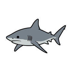 Fototapeta premium shark