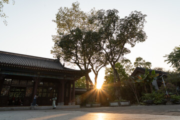 Fototapeta premium Sunset Behind a Tree in a Traditional Courtyard, West Lake in Huizhou, Guangdong Province, Asia China, is a tourist attraction featuring ancient architecture