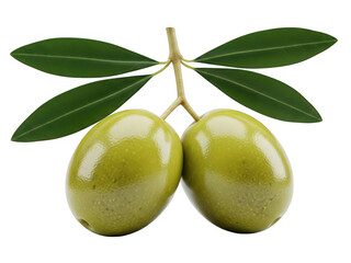 Obraz premium Two olives hanging with leaves, isolated on transparent background