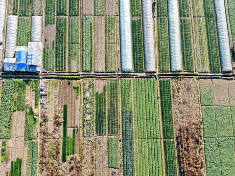 Aerial View of Agricultural Planting Base Fields