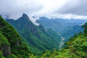Fototapeta premium Lush Green Mountain Valley Landscape under Overcast Sky in Daytime Scenery with Dense Forest and Serene River in Natural Environment