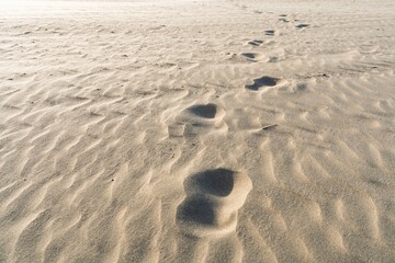 This image features footprints on rippled sand, symbolizing adventure and personal journeys. Perfect for travel blogs or motivational content about the path to success.