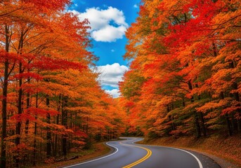 Scenic winding road through a vibrant forest during autumn, with trees displaying brilliant orange and red foliage