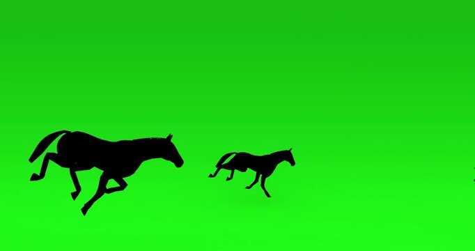 Running horse and foal silhouettes on green screen