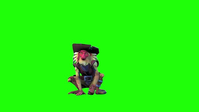 Front view motion of monkey animal with hat green screen or chroma key video clip background