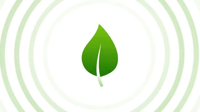 Minimal Carbon Offset Animation