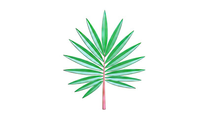 Green Palm Frond