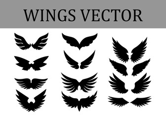 Obraz premium Variety of Black Wing Silhouettes in Diverse Styles and Sizes Presented in Three Columns on a White Background with a Grey Header Text WINGS