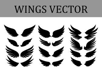 Obraz premium Group of Black Silhouette Wing and Showing Different Styles from Delicate Feathers to Sharp Edges Arranged in Three Vertical Columns on a White Background with a Grey Header Bar Text WINGS