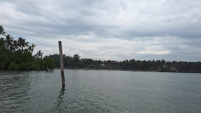 Peaceful backwater scene with dense palm trees along the shoreline and gently rippling water.