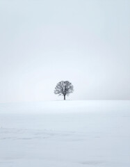 Single Lonely Tree in Vast White Snow Field Winter Landscape
