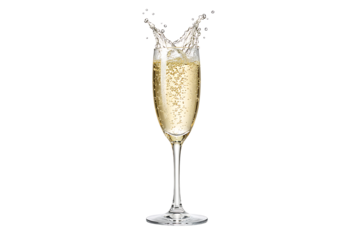 A champagne flute filled with bubbly liquid shows movement at the top of the glass and the transparent background and plain white background