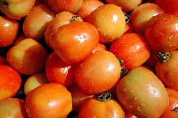 closeup pile of fresh red tomatoes with water droplets. organic ripe vegetables background from local farm market. healthy raw food ingredient full frame texture.