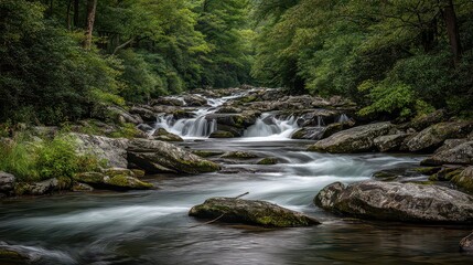 Obraz premium Lush Green Forest with Cascading Stream Over Mossy Rocks Creating a Peaceful Serene Nature Scene with Long Exposure Effect and Filtered Sunlight