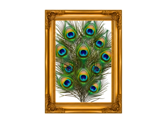 Peacock feathers in gold frame isolated on transparent background
