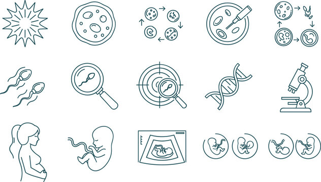 Human reproduction and embryology line icon set pregnancy fertility cell development flat vector illustration isolated