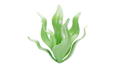 Green seaweed with flowing leaves on a white background