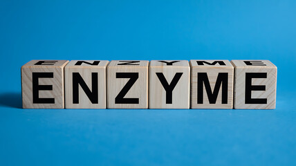 Wooden alphabet blocks spelling out the word ENZYME on a blue background letters biology chemistry science education learning language communication text