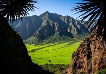 Mountain valley view framed by foliage and rocks under a clear blue sky day scene