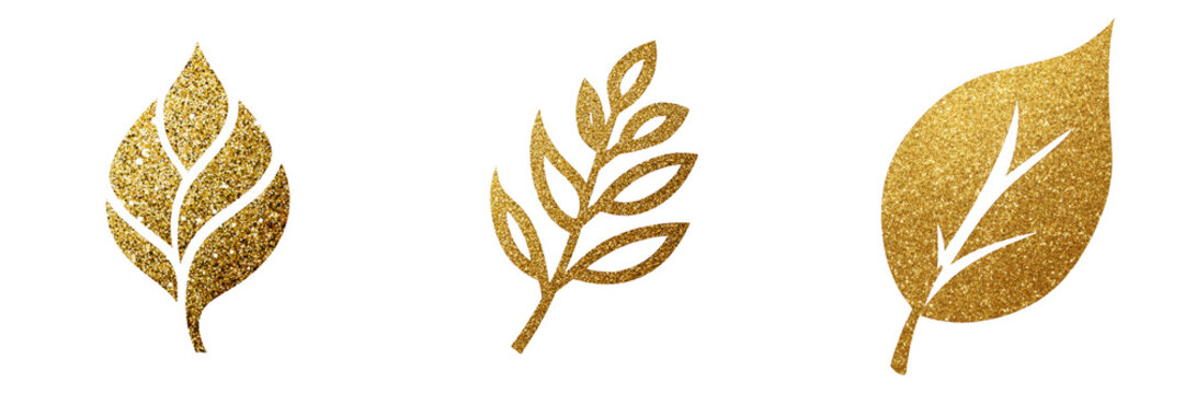 Golden leaf designs isolated on a transparent background