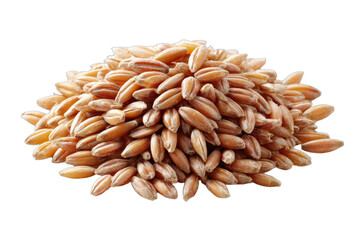 Obraz premium Close-up of a pile of light brown, elongated grains with textured surfaces