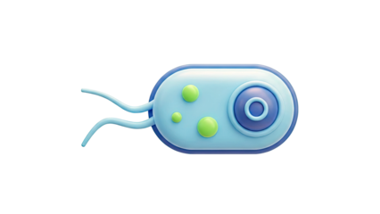 3D Cartoon Bacteria with Flagella