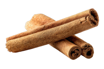 Close-up of textured rolled bark sticks on black background