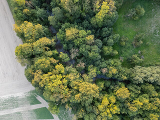 Bergnicourt, Rethel, Ardennes, Grand-Est, France, August, 28th, 2025, A breathtaking aerial shot beautifully showcasing the vibrant green trees alongside agricultural fields and landscapes