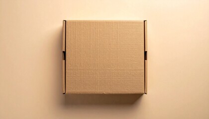 Clean, top-down shot of an unopened, rectangular brown cardboard box, offering a versatile template for product packaging, secure shipping, and eco-friendly delivery concepts