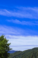 Obraz premium Beautiful nature landscape with white wispy clouds in the blue sky over green mountains