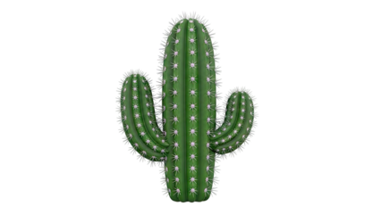 Green Saguaro Cactus with Three Arms