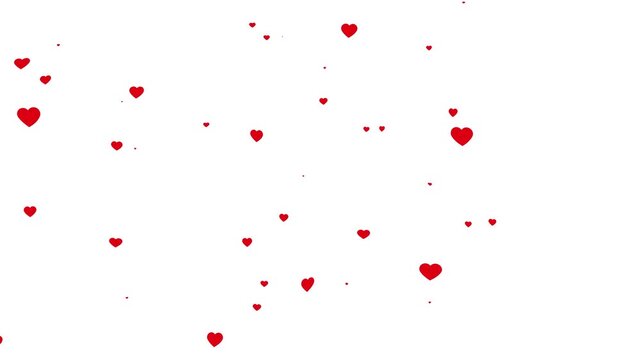 red hearts flying on white background, 4k loopable overlay with alpha channel. abstract floating hearts animation for valentines day background.