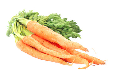 Fresh carrots isolated on white background