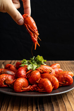 Trendy Summer Spicy Crayfish Street Food