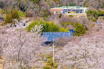 西山公園（西山荘近辺）